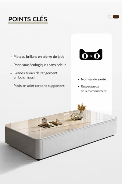 Table basse design effet marbre avec rangements